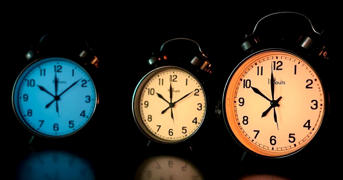 Illustration related to: After section: Actionable Tips to Improve Your Pet’s Behavior