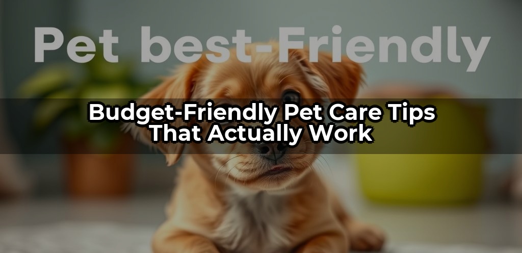 Budget Friendly Pet Care Tips That Actually Work