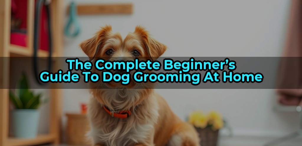 The Complete Beginners Guide To Dog Grooming At Home